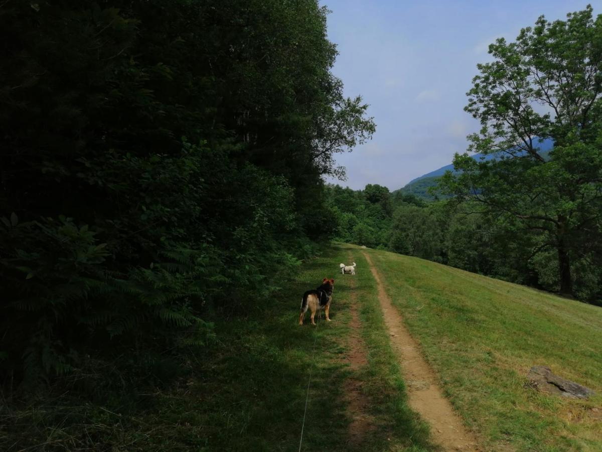 Beatamente B&B Olistico Torrazzo Bagian luar foto