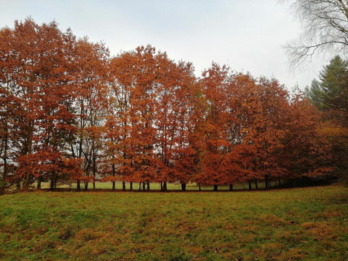 Beatamente B&B Olistico Torrazzo Bagian luar foto